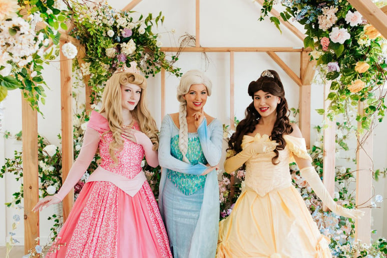 Gallery photo 1 of Princess Party People