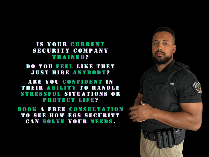 Gallery photo 4 of EGS Security Solutions