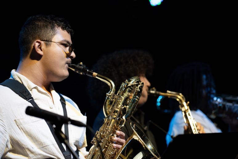 Gallery photo 1 of Pro Sax Playing