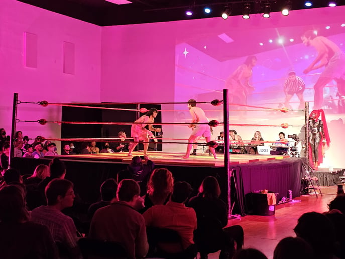 Gallery photo 1 of Pro Wrestling Ring
