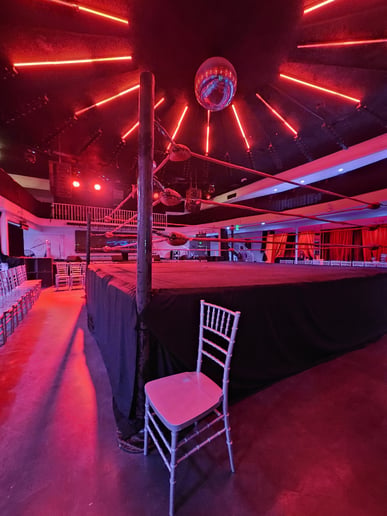 Gallery photo 2 of Pro Wrestling Ring