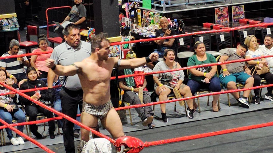 Gallery photo 3 of Pro Wrestling Ring