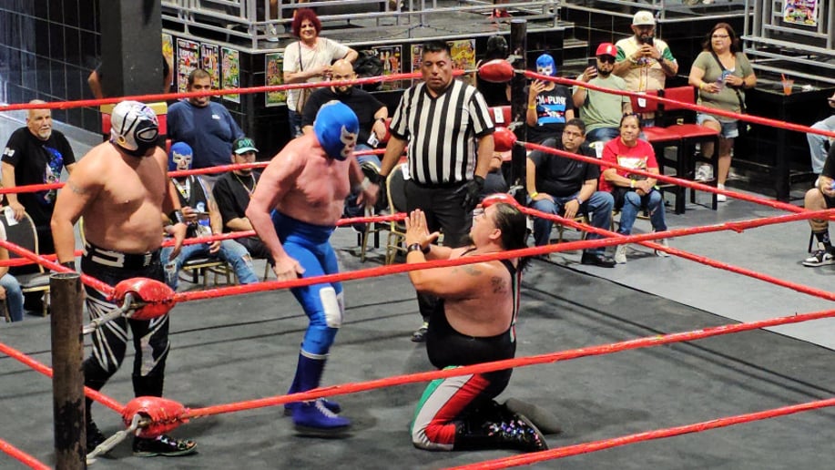 Gallery photo 4 of Pro Wrestling Ring
