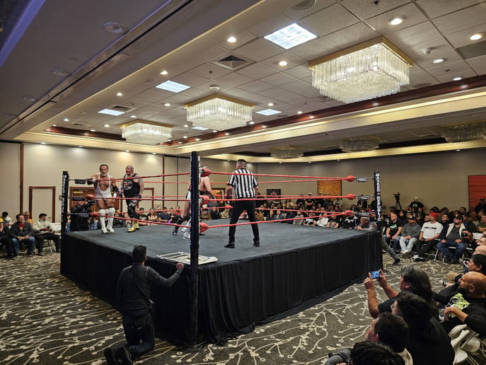 Gallery photo 6 of Pro Wrestling Ring