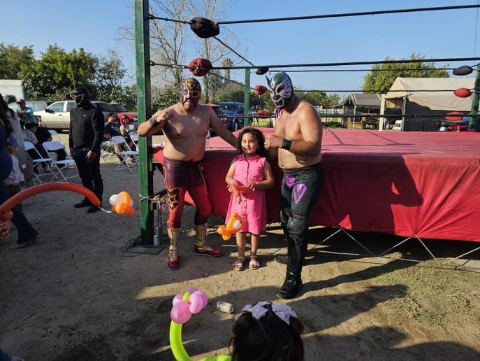 Gallery photo 8 of Pro Wrestling Ring