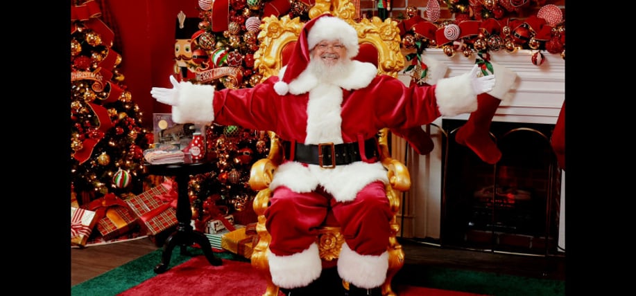 Gallery photo 7 of Silly Santa