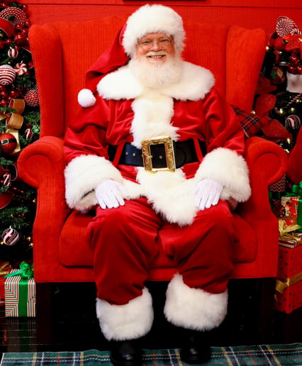 Gallery photo 6 of Silly Santa