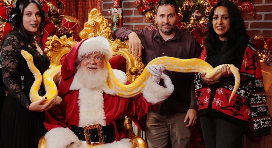 Gallery photo 3 of Silly Santa