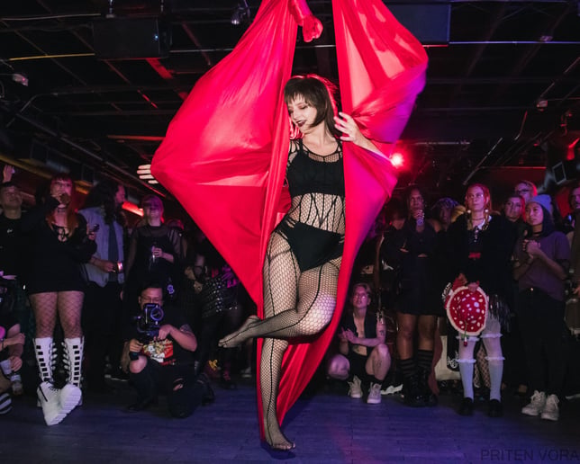 Gallery photo 2 of Professional Aerial Silks Performer
