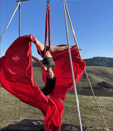 Gallery photo 3 of Professional Aerial Silks Performer