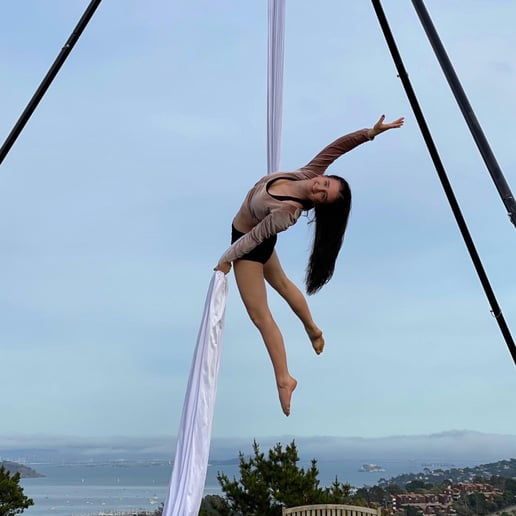 Gallery photo 7 of Professional Aerial Silks Performer
