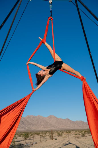 Gallery photo 1 of Professional Aerial Silks Performer