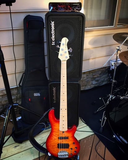 Gallery photo 2 of Professional Bassist