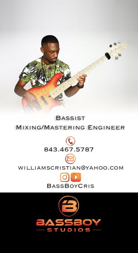 Gallery photo 6 of Professional Bassist