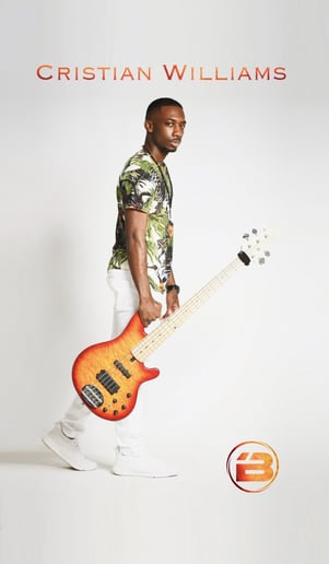 Gallery photo 7 of Professional Bassist