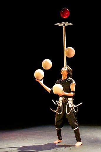 Gallery photo 1 of Professional Circus Entertainment