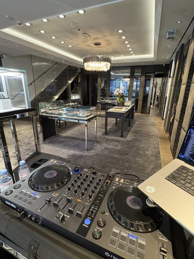 Gallery photo 2 of DJ Rise, Professional DJ For Your Event