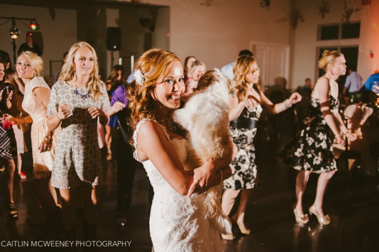 Gallery photo 7 of Professional DJ Services