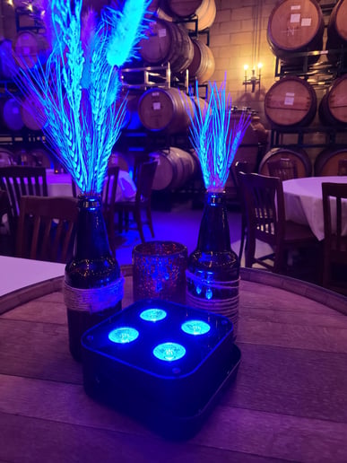 Gallery photo 9 of Professional DJ Services