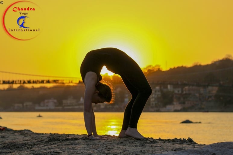 Gallery photo 1 of Professional & Flexible