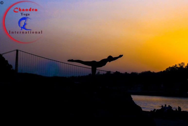 Gallery photo 4 of Professional & Flexible