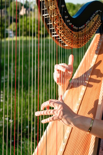 Gallery photo 2 of Korenna Hodge, Professional Harpist