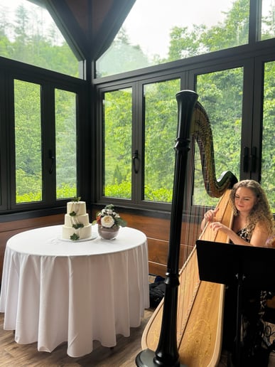 Gallery photo 5 of Korenna Hodge, Professional Harpist