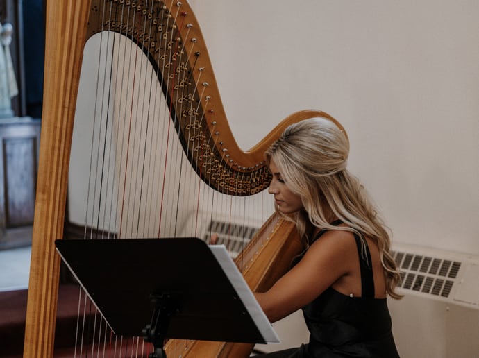 Gallery photo 2 of Professional Harpist