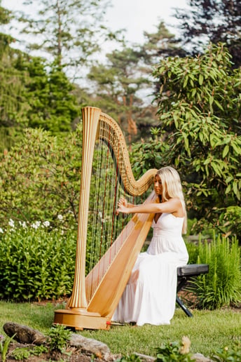 Gallery photo 3 of Professional Harpist