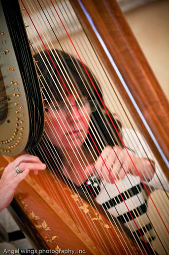 Gallery photo 2 of Professional Harpist - Tampa