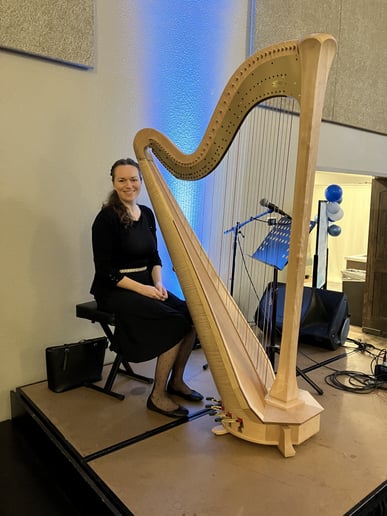 Gallery photo 2 of Professional Harpist, Ana Marija Weinhardt