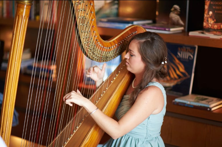 Gallery photo 3 of Professional Harpist, Ana Marija Weinhardt