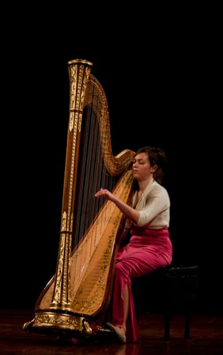 Gallery photo 4 of Professional Harpist, Ana Marija Weinhardt