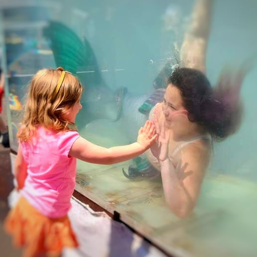 Gallery photo 4 of Professional Mermaid