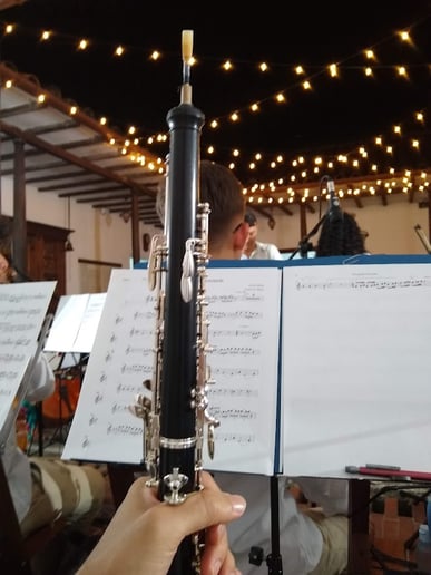 Gallery photo 1 of Professional Oboe Performer