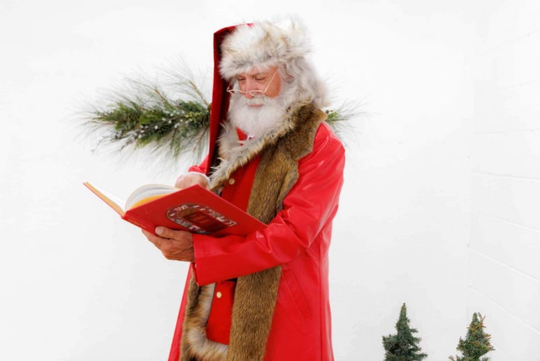 Gallery photo 1 of Professional Real Bearded Santa Roy