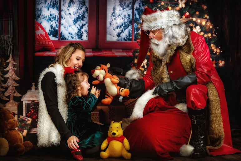 Gallery photo 5 of Professional Real Bearded Santa Roy
