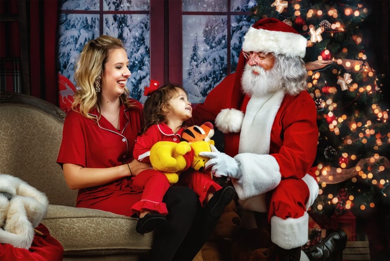 Gallery photo 6 of Professional Real Bearded Santa Roy