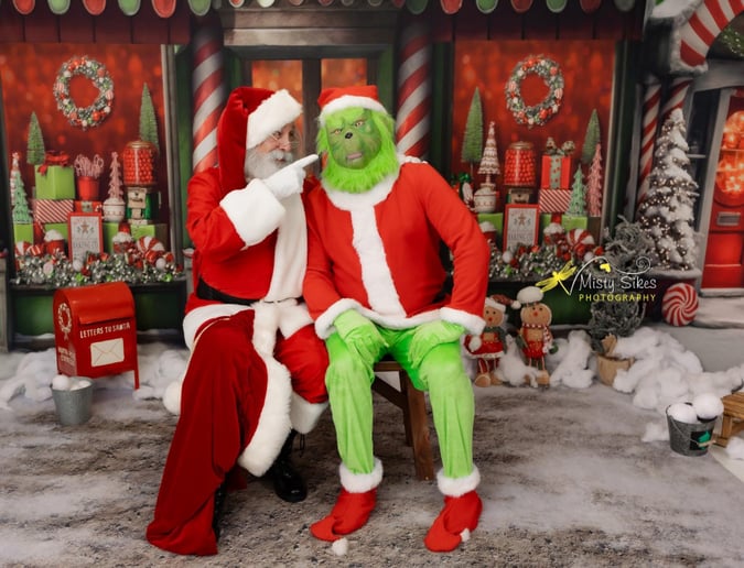 Gallery photo 8 of Professional Real Bearded Santa Roy