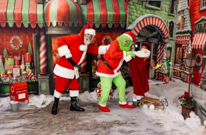 Gallery photo 9 of Professional Real Bearded Santa Roy