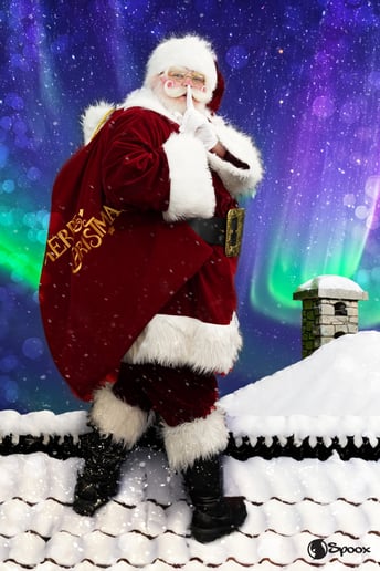 Gallery photo 5 of Professional Santa Claus Kenney
