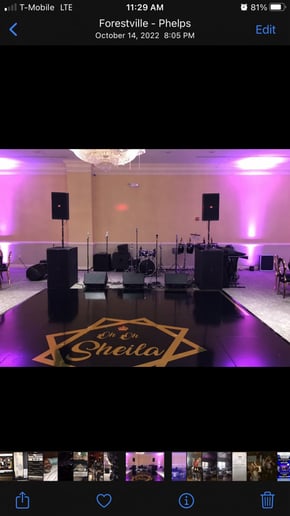 Gallery photo 5 of Professional Sounds