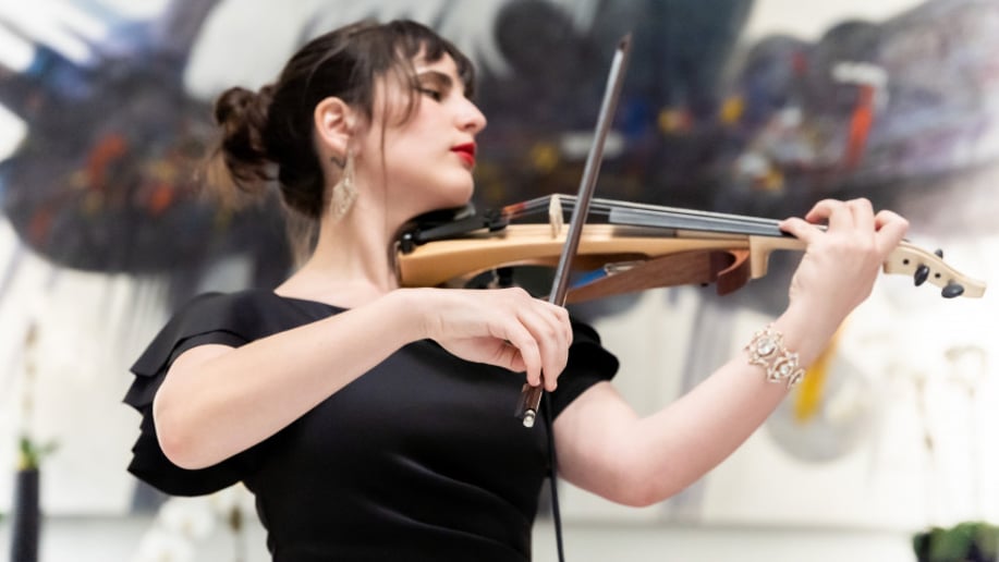 Gallery photo 1 of Professional violin player