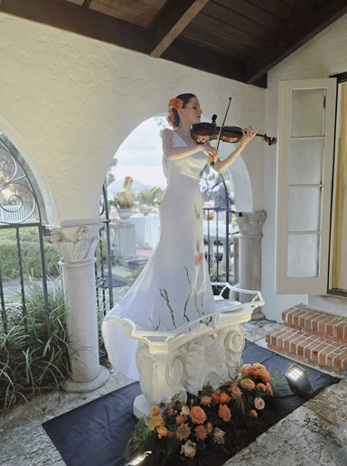 Gallery photo 9 of Tatev Muradyan, Professional Violinist