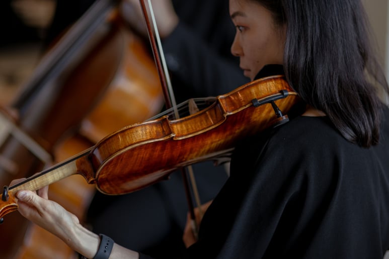 Gallery photo 7 of Cincy Strings - Professional Live Music