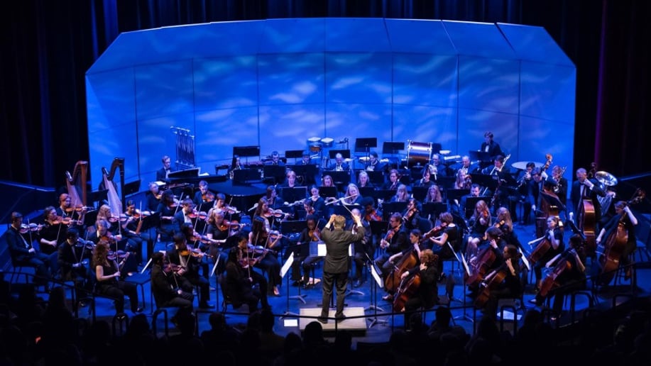Gallery photo 5 of Professional Violinist Sila