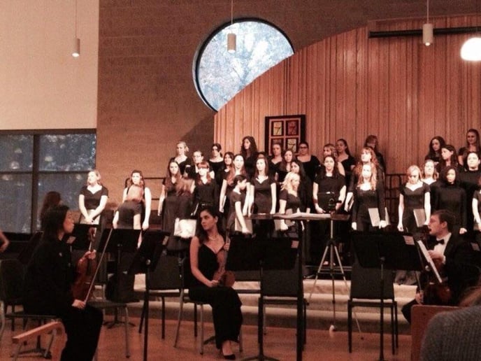 Gallery photo 4 of Professional Violinist Sila