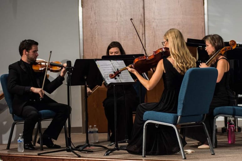 Gallery photo 1 of Brianna Patricca - Professional Violist