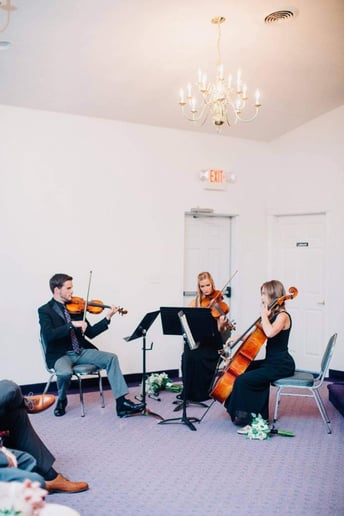 Gallery photo 7 of Brianna Patricca - Professional Violist