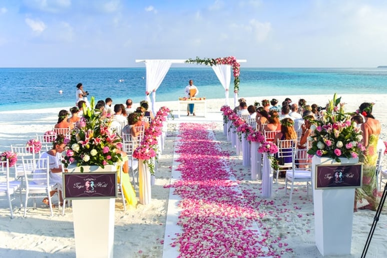 Gallery photo 10 of Musicians for Weddings and All Occasions